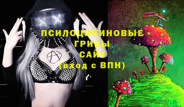 a pvp Арсеньев