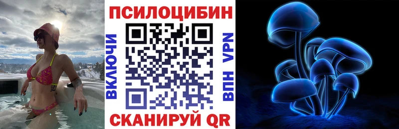 даркнет наркотические препараты  Ржев  Псилоцибиновые грибы Magic Shrooms  купить наркоту 
